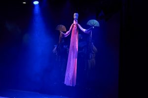 Калейдаскоп (не) звычайных гісторый